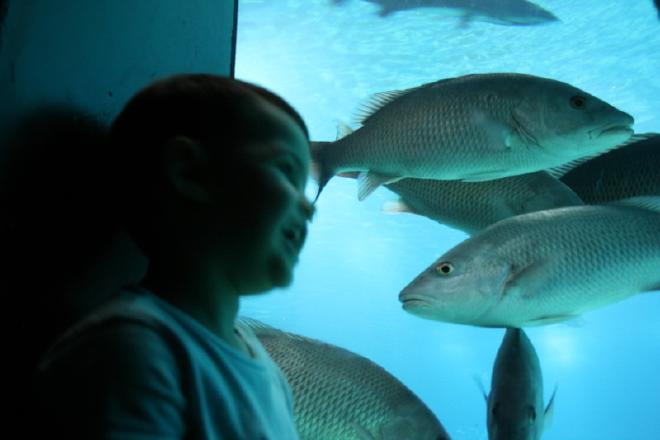 Oceanário