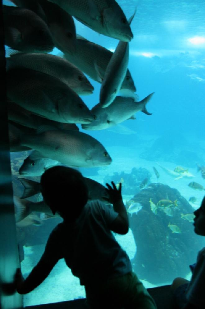 Oceanário
