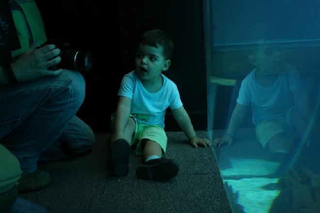 Oceanário