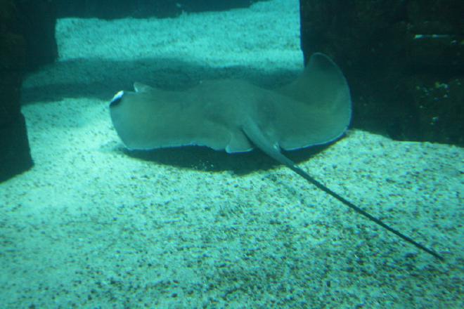Oceanário