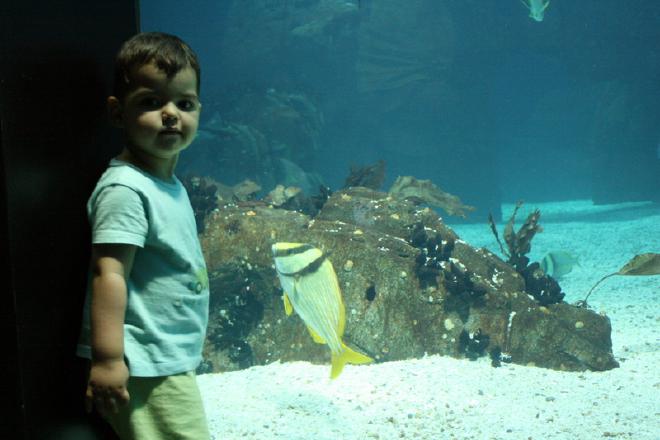 Oceanário