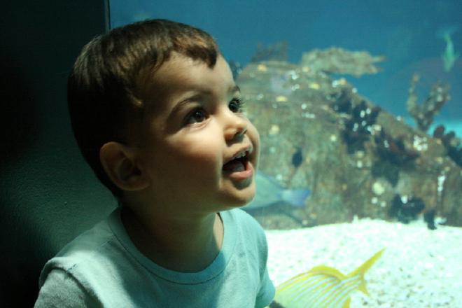 Oceanário