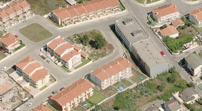 Bird’s Eye 3