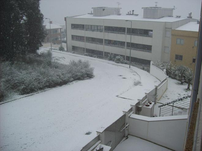 neve