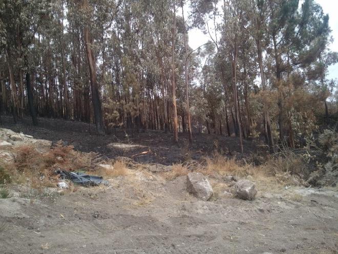 incendio casa