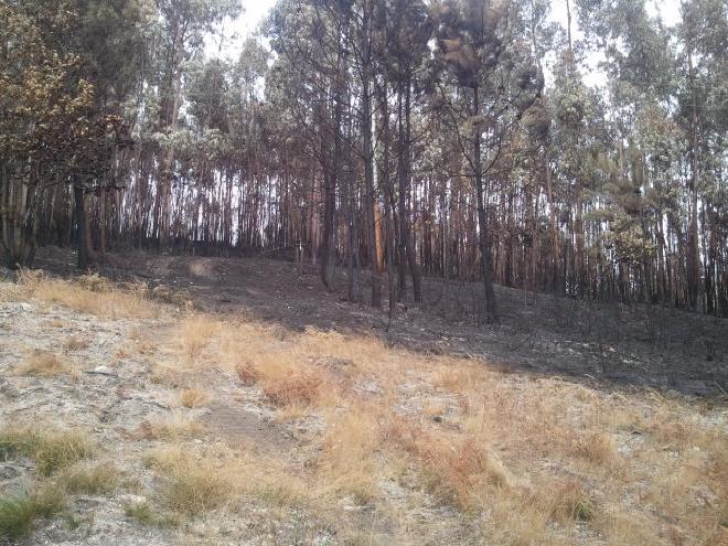 incendio casa