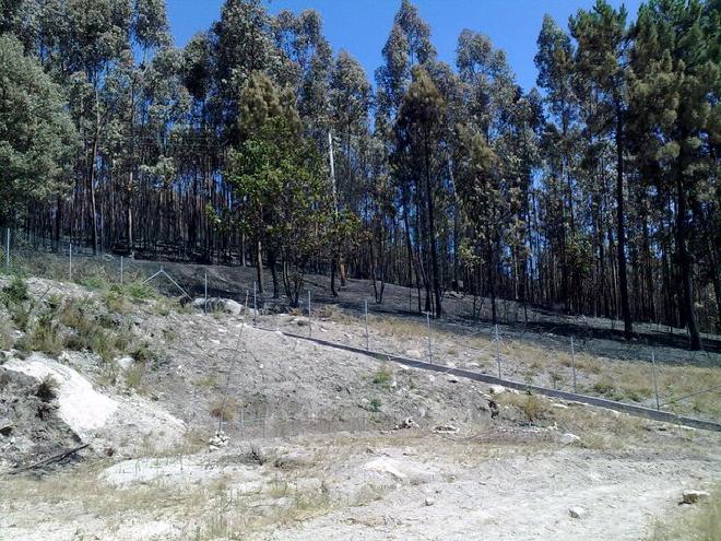 incendio casa